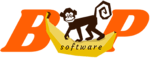 Software Business Plan logo